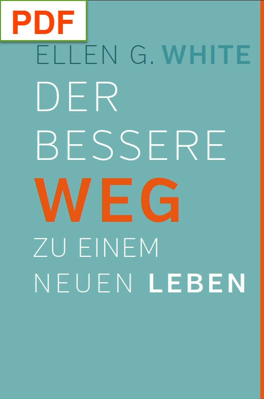 Der bessere Weg zu einem neuen Leben (PDF)